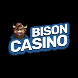 Recenzja Bison Casino pl – Doskonałe miejsce dla graczy z Polski